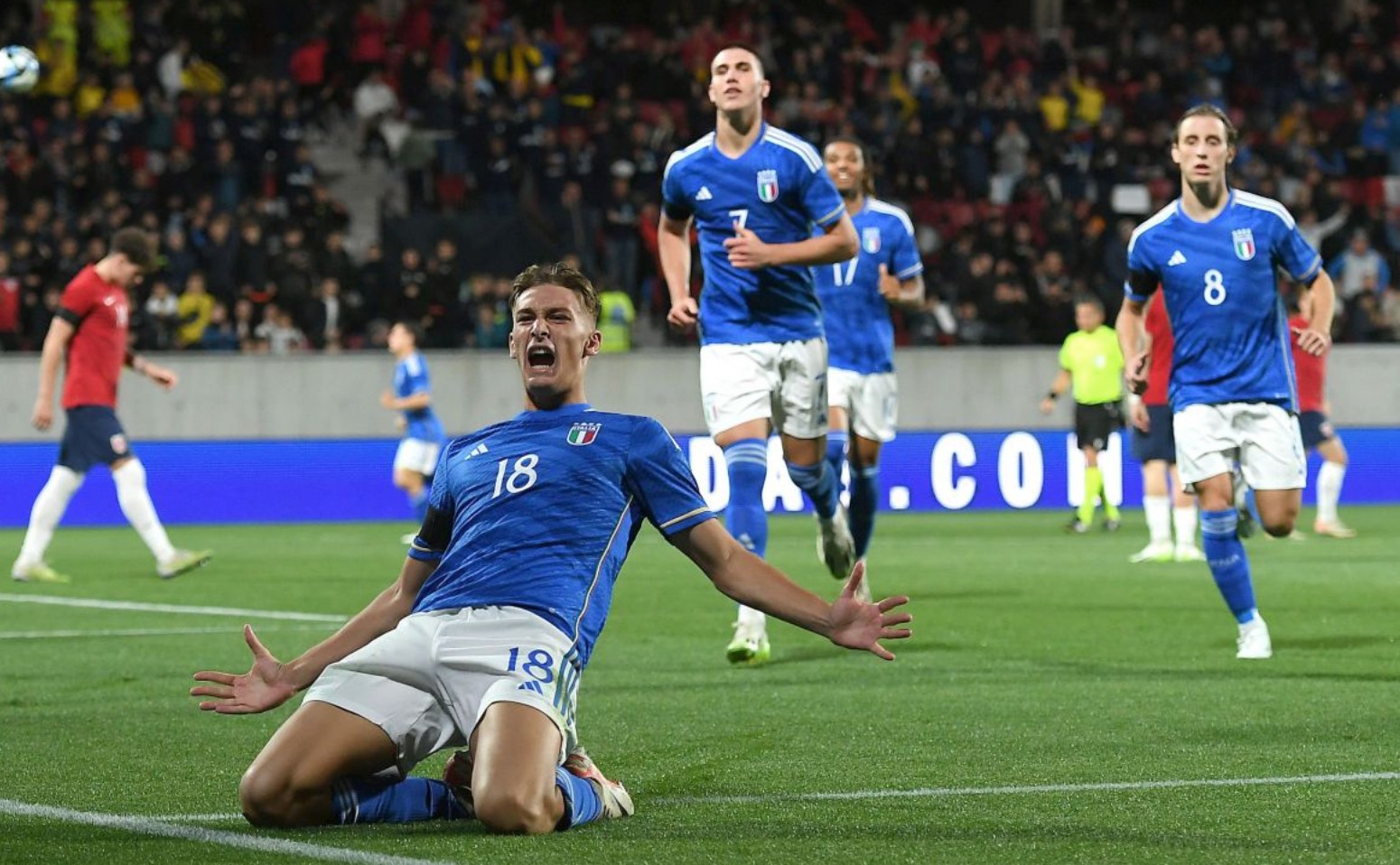 长样本看 长样本看